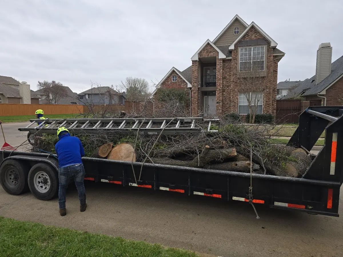 Expert Tree Fertilization with proper safety equipment in Premont